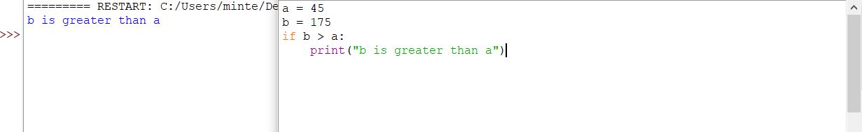 if statement