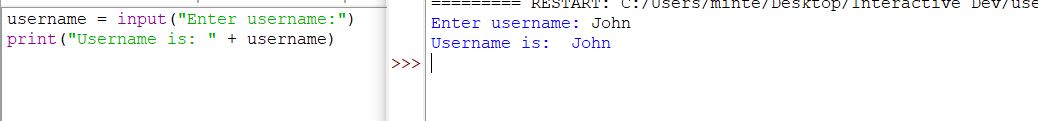 user-input